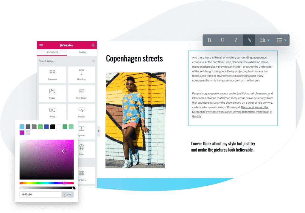 Elementor editor color controls